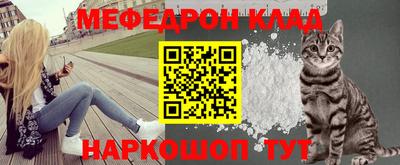 стаф Гатчина