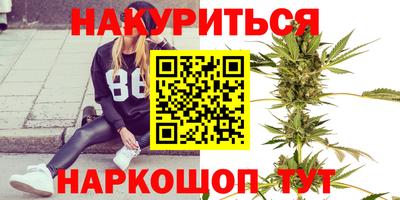 стаф Гатчина