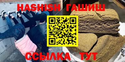 стаф Гатчина