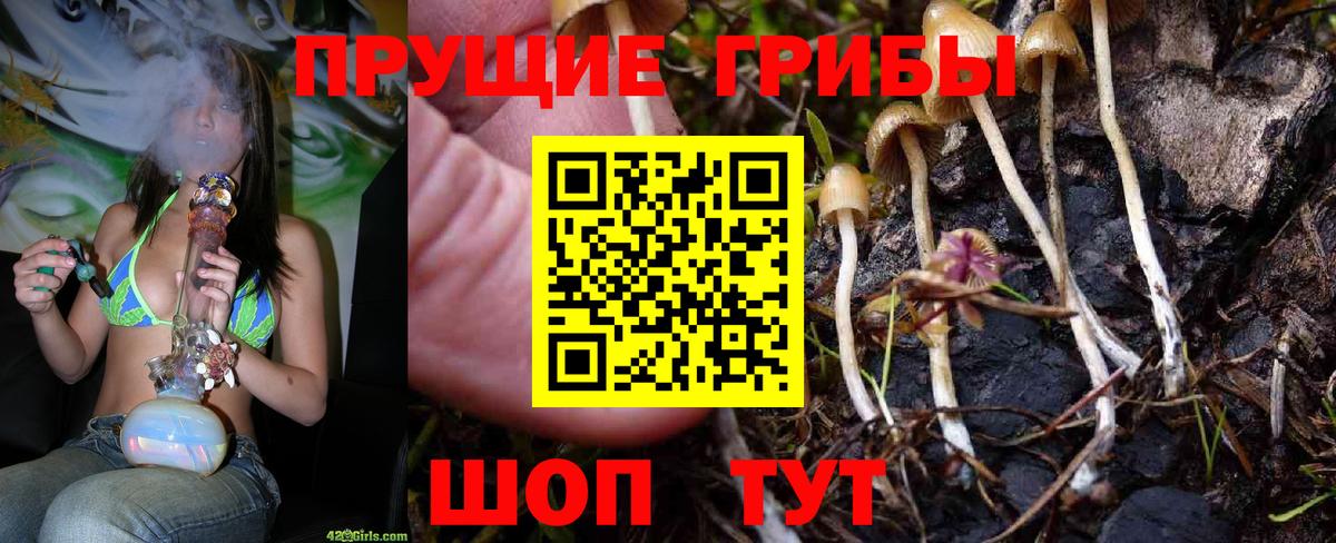 Псилоцибиновые грибы MAGIC MUSHROOMS  Вход с VPN  Мурино  Псилоцибиновые грибы Magic Shrooms 