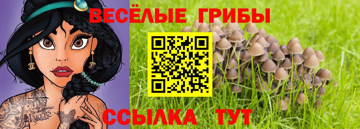 Галлюциногенные грибы Cubensis Мурино